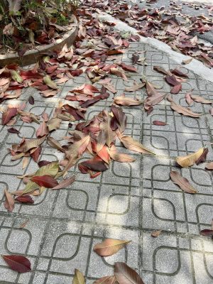 vĩnh biệt một phần tuổi thơ của tớ bạn ơi